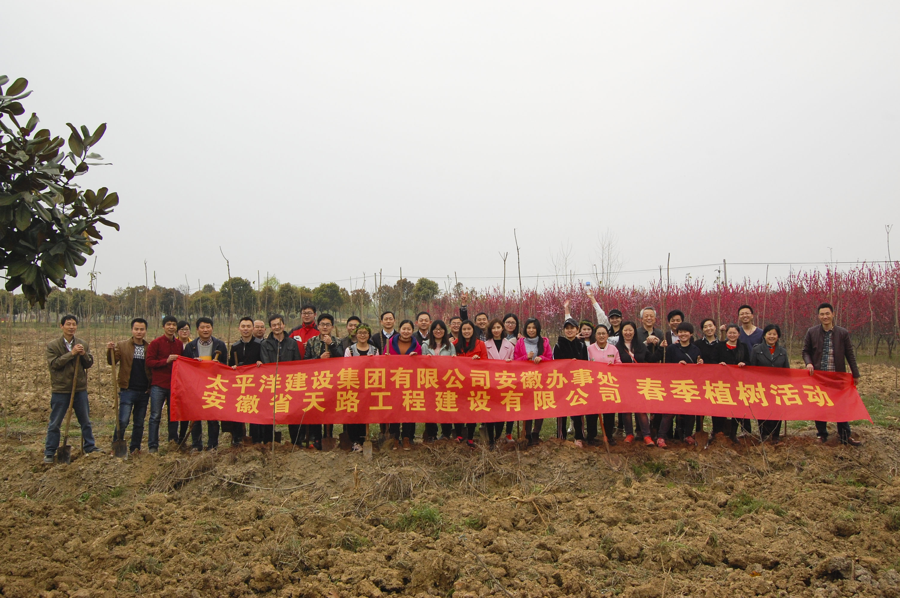 天路建設苗木基地植樹活動