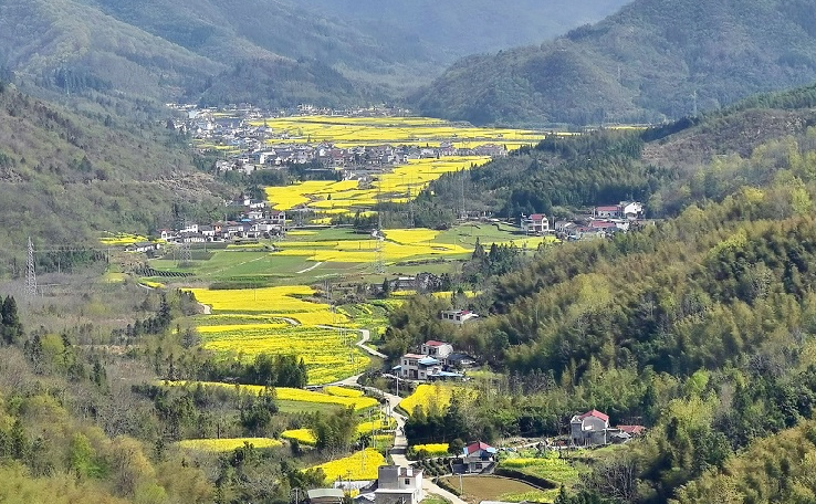 【明清春茶 硒世珍品】石臺(tái)康養(yǎng)富硒地，徽浦茶香天下傳
